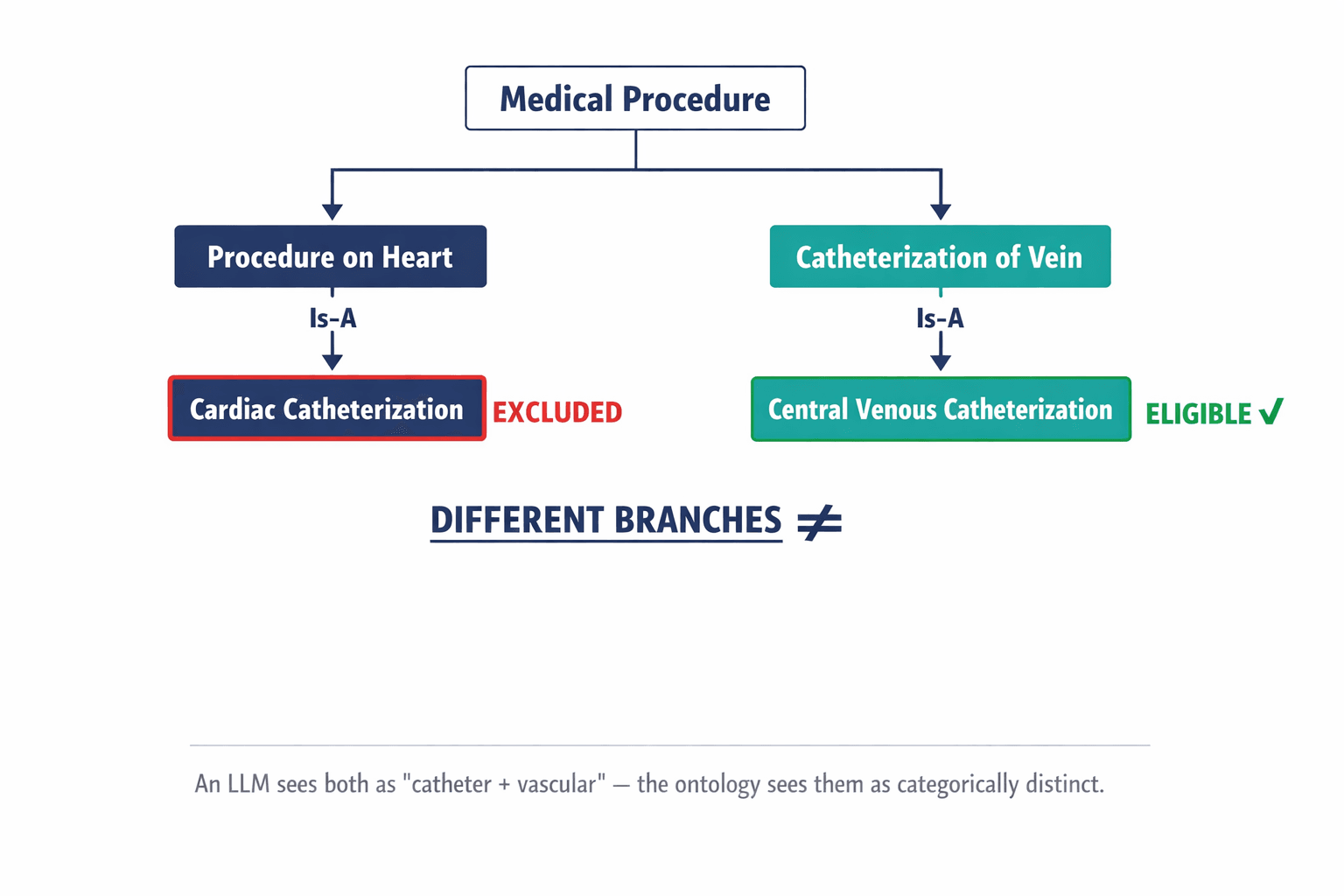 A branching tree diagram showing how SNOMED CT's Is-A hierarchy separates "cardiac catheterization" and "central venous catheterization" into completely different branches, making the article's central error immediately visually obvious.
