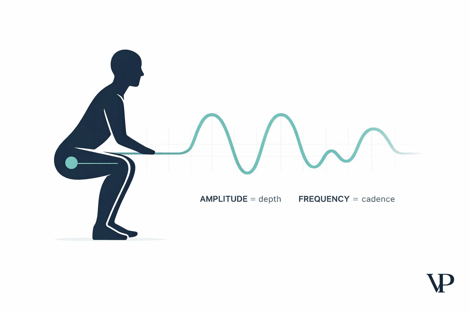 A stylized visualization showing a human silhouette mid-squat with its hip joint trajectory traced as a clean sinusoidal waveform, bridging the physical and signal-processing domains.